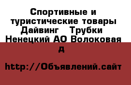 Спортивные и туристические товары Дайвинг - Трубки. Ненецкий АО,Волоковая д.